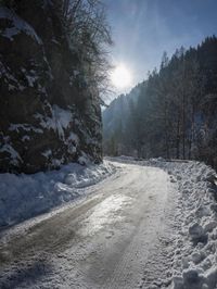 sun peeking in between snowy trees, while it looks snowy and icy on the road