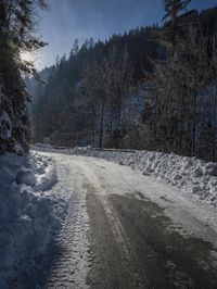 sun peeking in between snowy trees, while it looks snowy and icy on the road