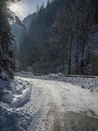 sun peeking in between snowy trees, while it looks snowy and icy on the road