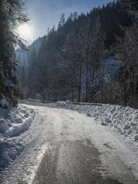 sun peeking in between snowy trees, while it looks snowy and icy on the road
