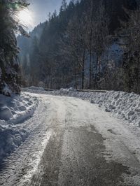 sun peeking in between snowy trees, while it looks snowy and icy on the road
