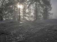 Winter Landscape in the Alps of Europe: Sun Visible