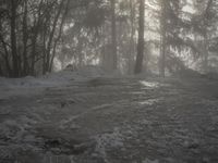 Winter Landscape in the Alps of Europe: Sun Visible