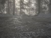 Winter Landscape in the Alps of Europe: Sun Visible