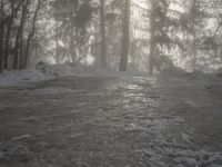 Winter Landscape in the Alps of Europe: Sun Visible