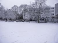 Winter Landscape: A Building with Branches and Trees