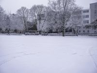 Winter Landscape: A Building with Branches and Trees