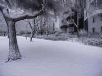 Winter Landscape with Building and Window