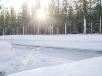 Winter Landscape in California: Mammoth Lake