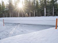 Winter Landscape in California: Mammoth Lake