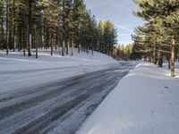 Winter Landscape in California, USA