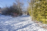 a path covered with snow with lots of trees around it all in the background is the sun and snow