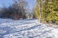 a path covered with snow with lots of trees around it all in the background is the sun and snow