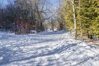 a path covered with snow with lots of trees around it all in the background is the sun and snow