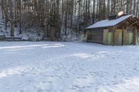 Winter Landscape in Canada: A Forest under Clear Skies