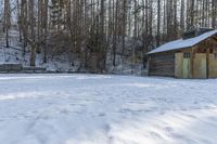 Winter Landscape in Canada: A Forest under Clear Skies