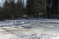 Winter Landscape in Canada: High Road to Toronto (001)