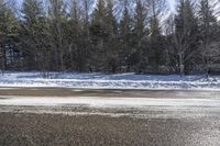 Winter Landscape in Canada, Ontario: Snowy Forest