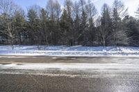 Winter Landscape in Canada, Ontario: Snowy Forest