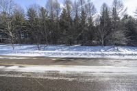 Winter Landscape in Canada, Ontario: Snowy Forest