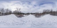 a view from the bottom up into the snow covered hillside and trees in the distance