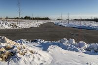 Winter Landscape in Canada: Trees and Clear Skies