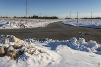 Winter Landscape in Canada: Trees and Clear Skies