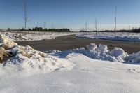 Winter Landscape in Canada: Trees and Clear Skies