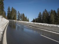 Winter Landscape: European Road with Snow-Covered Trees
