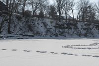 Winter Landscape by Frozen Lake in Toronto, Canada