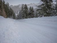 a person with skis stands on a snowy road in the snow at the bottom of a hill