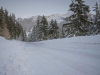a person with skis stands on a snowy road in the snow at the bottom of a hill
