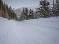 a person with skis stands on a snowy road in the snow at the bottom of a hill