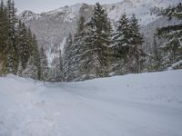 a person with skis stands on a snowy road in the snow at the bottom of a hill
