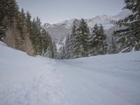 a person with skis stands on a snowy road in the snow at the bottom of a hill