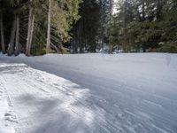 a snowboarder is on the snowy slope in the forest during the day time