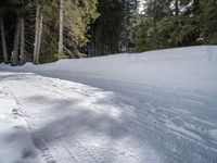 a snowboarder is on the snowy slope in the forest during the day time