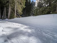 a snowboarder is on the snowy slope in the forest during the day time