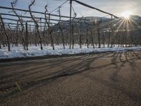 Winter Landscape in Germany: Mountain Alps