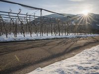 Winter Landscape in Germany: Mountain Alps