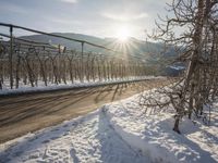 Winter Landscape in Germany: Mountain Alps