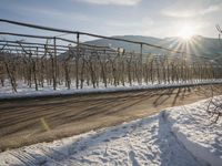 Winter Landscape in Germany: Mountain Alps