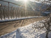 Winter Landscape in Germany: Mountain Alps