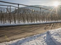 Winter Landscape in Germany: Mountain Alps