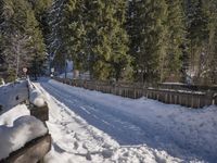 Winter Landscape in Germany: Snow-Covered Trees 003