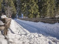 Winter Landscape in Germany: Snow Covered Trees 004