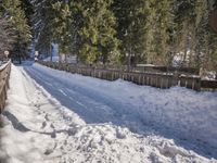Winter Landscape in Germany: Snow Covered Trees