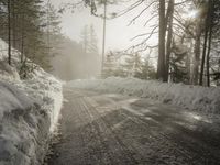 Winter Landscape in Germany: Snowy Forest Views