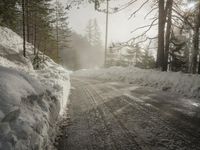 Winter Landscape in Germany: Snowy Forest Views