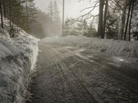 Winter Landscape in Germany: Snowy Forest Views